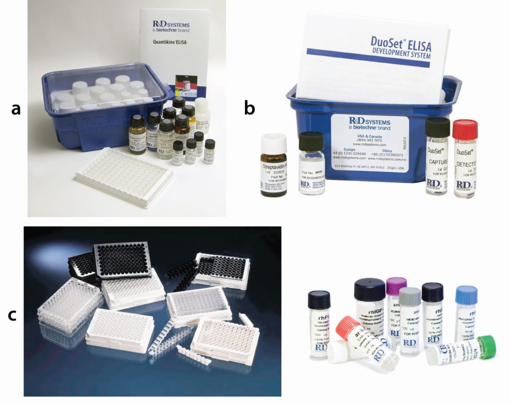 General Immunoassay Testing: ELISA - Elokarsa