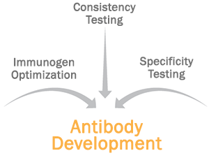 antibody-reproducibility-standards